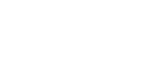 Toyo Tires